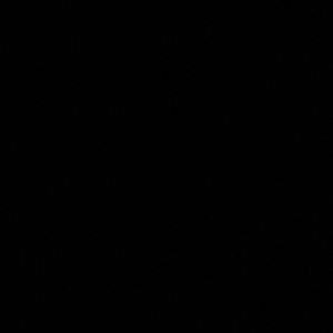 Meet your Posher, Dylan